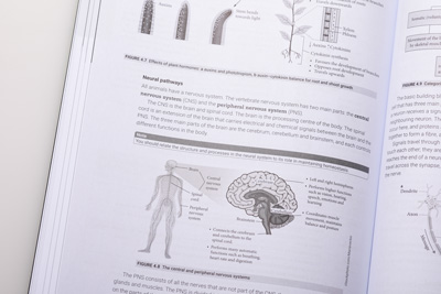 Photograph of a page spread showing diagrams of a human nervous system and a cross section of the brain. 